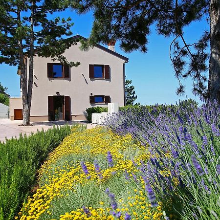 Luxury Villa Gradin Gračišče المظهر الخارجي الصورة