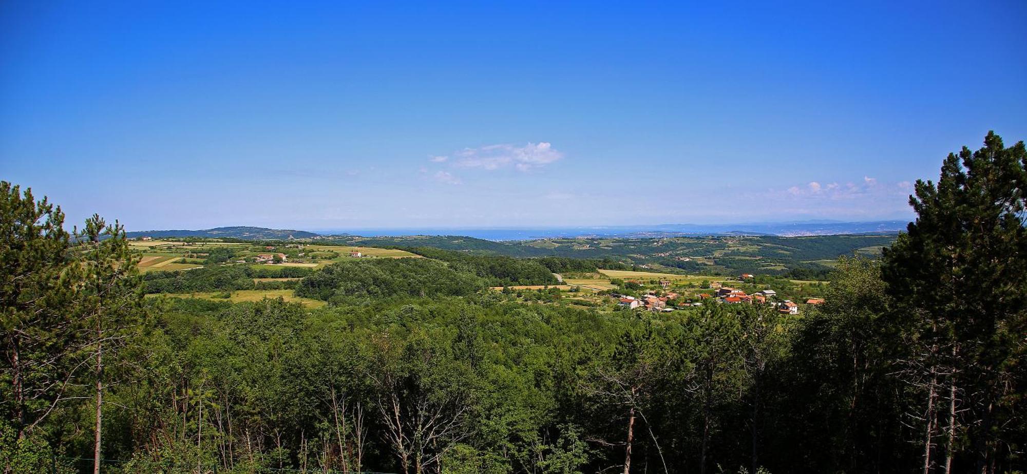 Luxury Villa Gradin Gračišče المظهر الخارجي الصورة