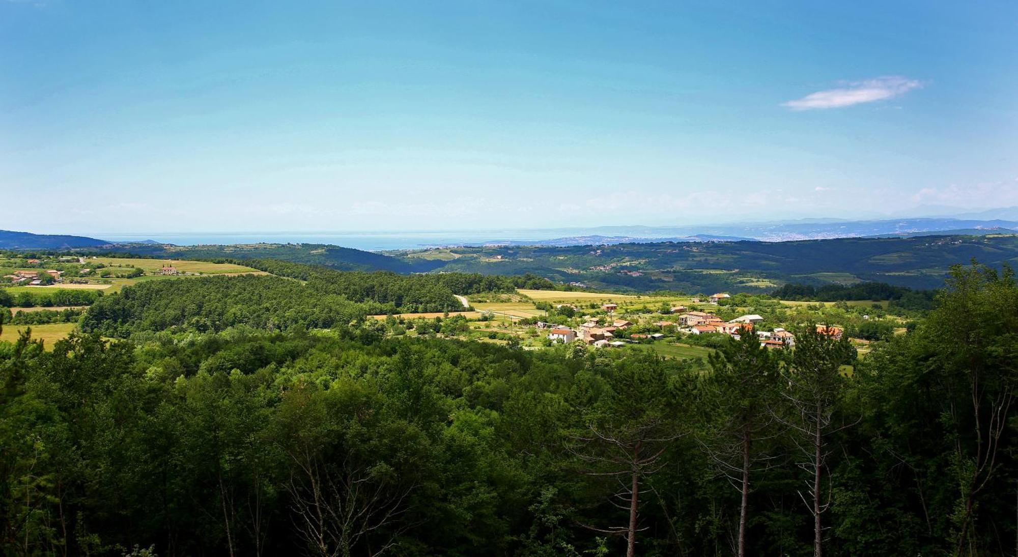 Luxury Villa Gradin Gračišče المظهر الخارجي الصورة