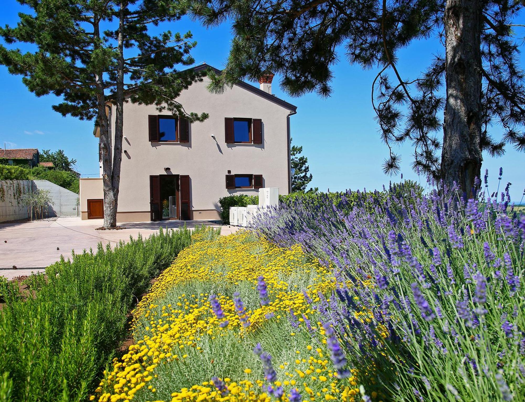 Luxury Villa Gradin Gračišče المظهر الخارجي الصورة